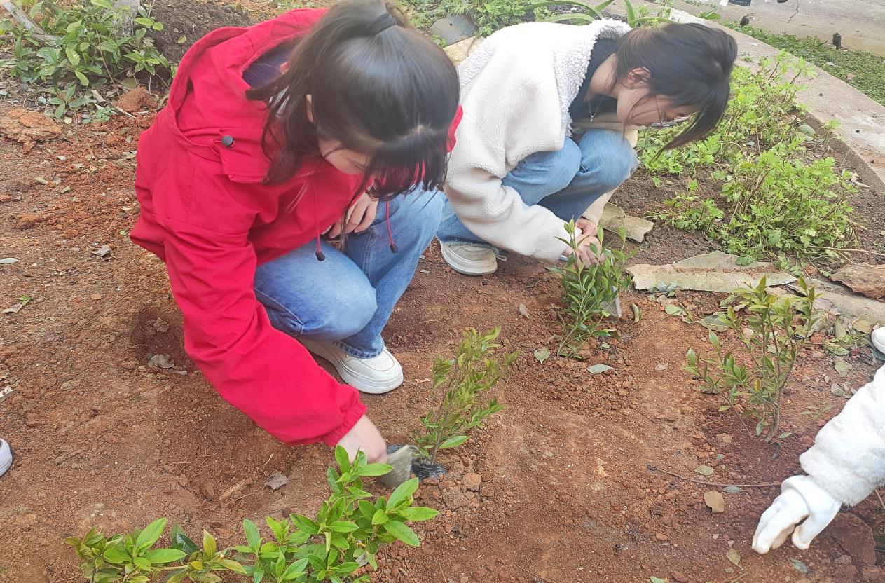 绿化环境美化人生经济与管理学院开展植树活动