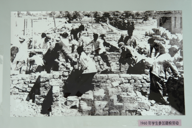1960年石河子农学院学生参加建校劳动.JPG 1960年石河子农学院学生参加建校劳动.JPG
